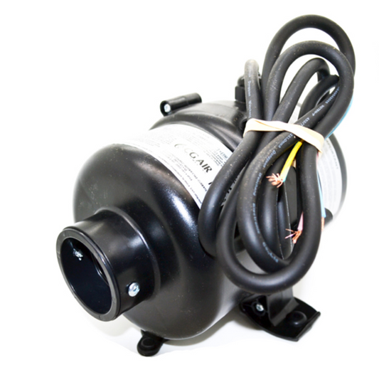 CG Air 900 watt Air Blower